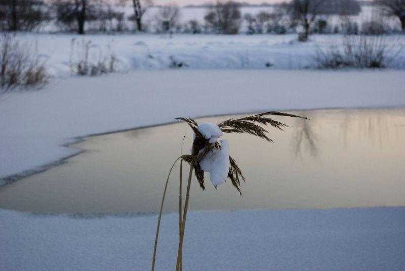 http://images48.fotosik.pl/256/51cfa44659732325.jpg