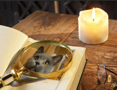 Obrazek