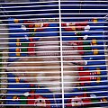 Dziewczyny MouseHouse