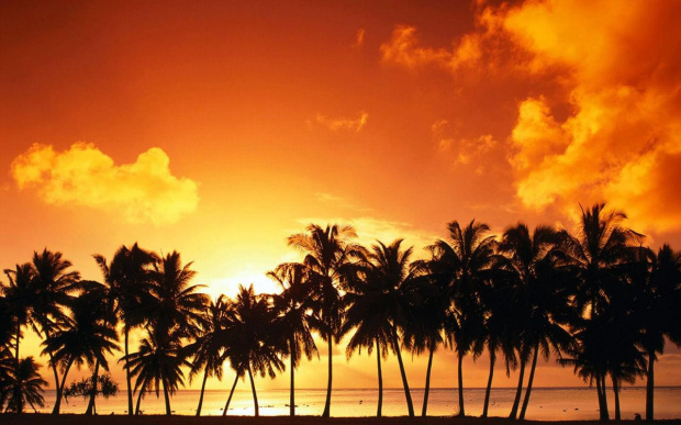 #krajobrazy #słońce #plaża #zachód #wschód #widescreen #wallpaper