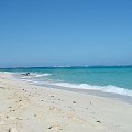 Prickly Pears-Anguilla