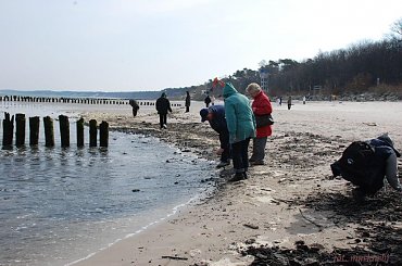 zbieracze muszelek... #plaża #Ustka