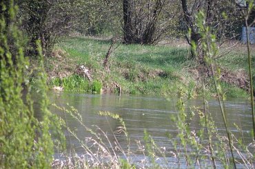 PZK zdjęcia wiosenne #krajobraz #mazowsze #warka #pilica