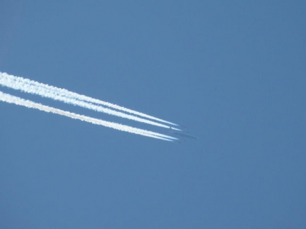 #biały #samolot #niebiosa #niebieskie