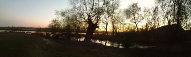 #ZachódSłońca #narew #drzewo #niebo