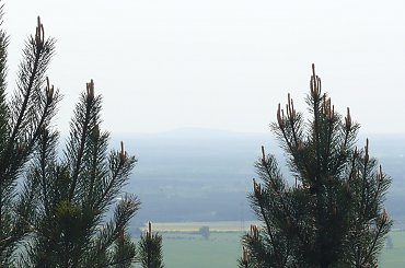 Góra Chełmo (323m) widziana z Góry Kamieńsk #GóraChełmo #HałdaKamieńsk