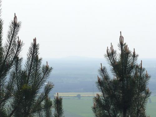 Góra Chełmo (323m) widziana z Góry Kamieńsk #GóraChełmo #HałdaKamieńsk