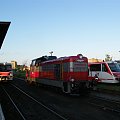 SM42-482, Leszno, 2.05.2008r.