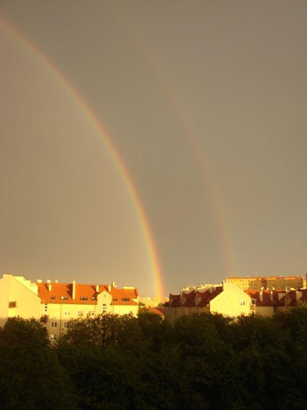 WIDOK Z NASZEGO OKNA