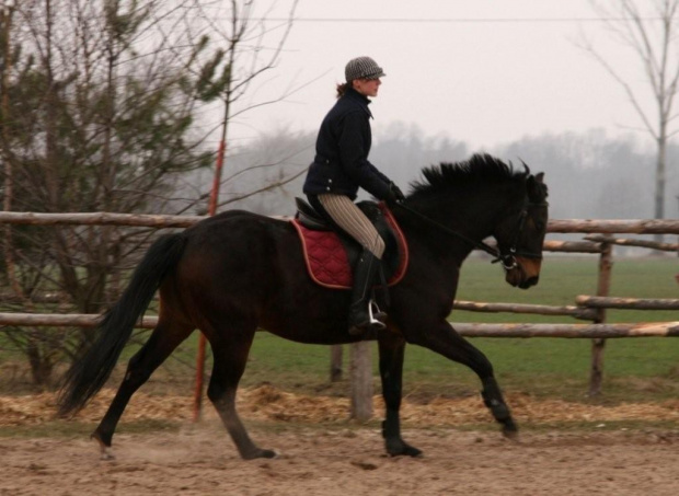 Galop na Bretoniku..