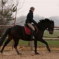 Galop na Bretoniku..