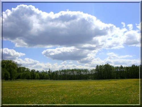 majowa łąka plus majowe niebo #maj #łąka #niebo #widok