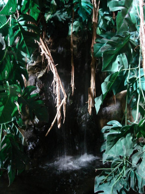 Maly wodospad... #egzotyczne #roślinki #kaskada #kropelki