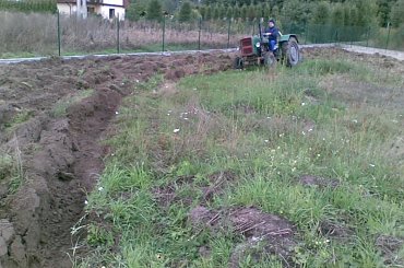 Wrzesień - 2008 - Porządki na działce - zaoraliśmy naszą łąkę na zimę #Kornelia