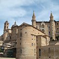 Urbino