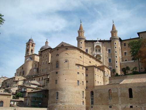 Urbino