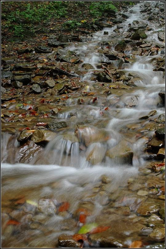 Bieszczady