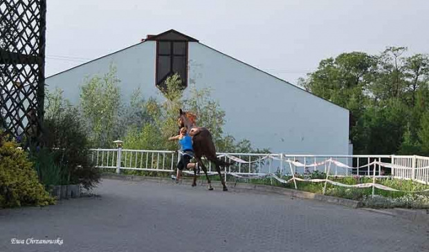 2009.05.21 Trening w Stodołach