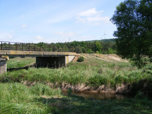 Rzeka Widawka , pod mostem widać schowane w cieniu owce , na brzegu nadrzeczne miejsce intergracyjne .