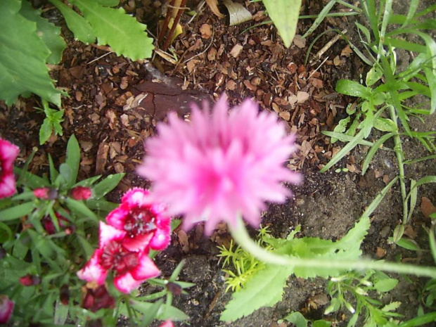 10.06.09