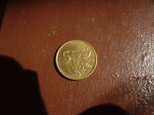 Kiedyś zastąpi go EURO... #złoty #grosz #pieniądz #waluta #macro #miedziak #kasa #pięciogroszówka #PięćGroszy #piątak #grosik #moneta