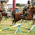 IX Piknik Kawaleryjski w Suwałkach #kawaleria #PiknikKawaleryjski #Suwałki #konie