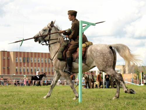 IX Piknik Kawaleryjski w Suwałkach #PiknikKawaleryjski #Suwałki #konie #ułani #kawaleria #lanca