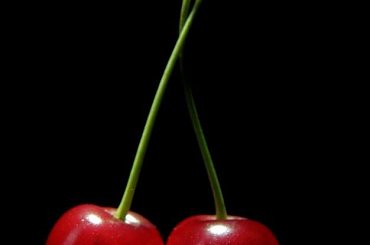 Cherry Cordial #czereśnie