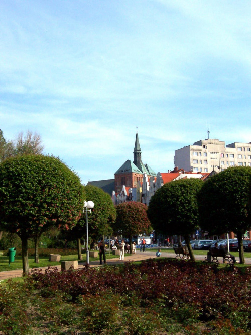 Katedra i zieleń