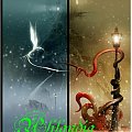 Tomasz Maroński #TomaszMaroński #Tarot