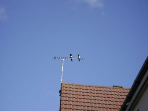 Sroki, Swindon Groundwell, wrzesień 2008