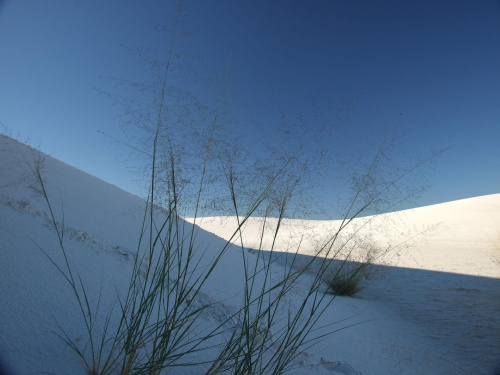 #WhiteSands #NewMexico