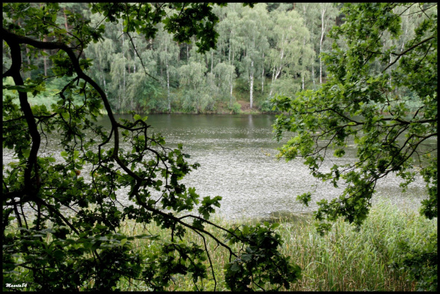 c.d. poznańskiego zoo