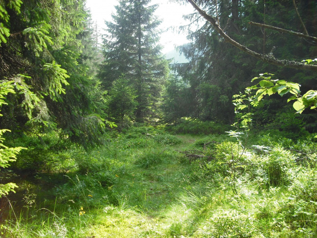 #Tatry #Zakopane