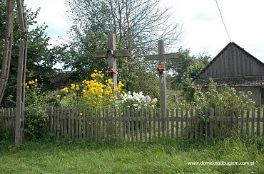 białowieża, puszcza białowiska, hajnówka, narewka, masiewo, wilczy szlak, gruszki, pogożele, teremiski #białowieża #PuszczaBiałowiska #hajnówka #narewka #masiewo #WilczySzlak #gruszki #pogożele #teremiski