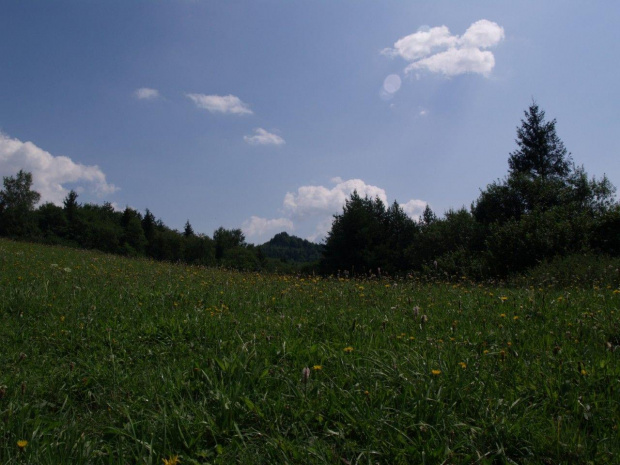 Pieniny #Pieniny #góry