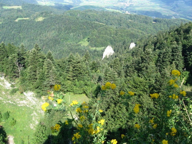 Pieniny #góry #Pieniny