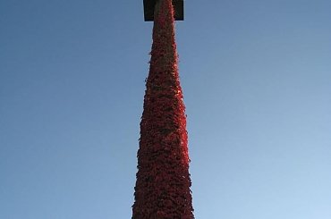 Liście oplatające słup przy Hali Stulecia #Wrocław #jesień #liście #HalaStulecia