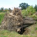 Skutki nawałnicy w Piaskach Wielkopolskich