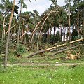 Skutki nawałnicy w Piaskach Wielkopolskich