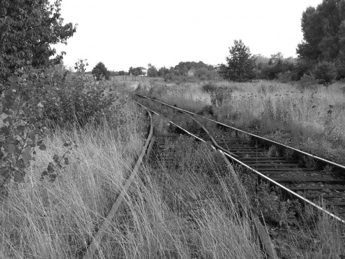 Tutaj linia kolejowa nr 285 łączy się z linią prowadzącą do Kamieńca Ząbkowickiego...