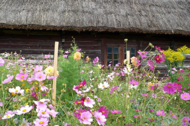 Muzeum Wsi Lubelskiej