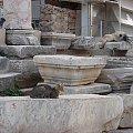 kot i pies -Efez
