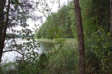 #Zyzdrój #jezioro #Franciszek #Rochowczyk