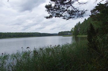 #Zyzdrój #jezioro #Franciszek #Rochowczyk