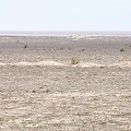 Jezioro Aralskie to już przeszłość #uzbekistan