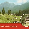 Tatry Zachodnie_Polana Chochołowska