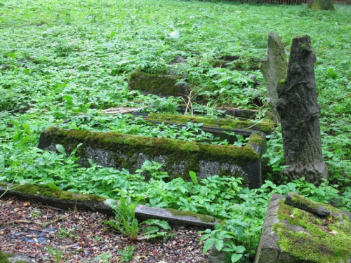 Fiszewo (warmińsko-mazurskie) - cmentarz mennonicki