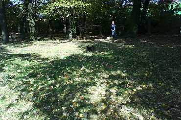 chicolo w pociągu #chico #pociąg #wrocław