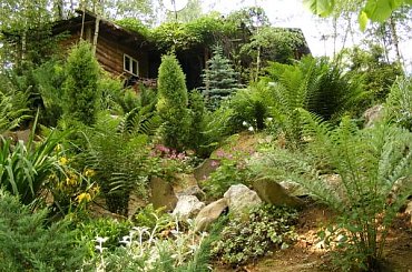 moja wiejska matka natura, zachód słońca i rechocząca żabcia #natura #ZachódSłońca #żabka